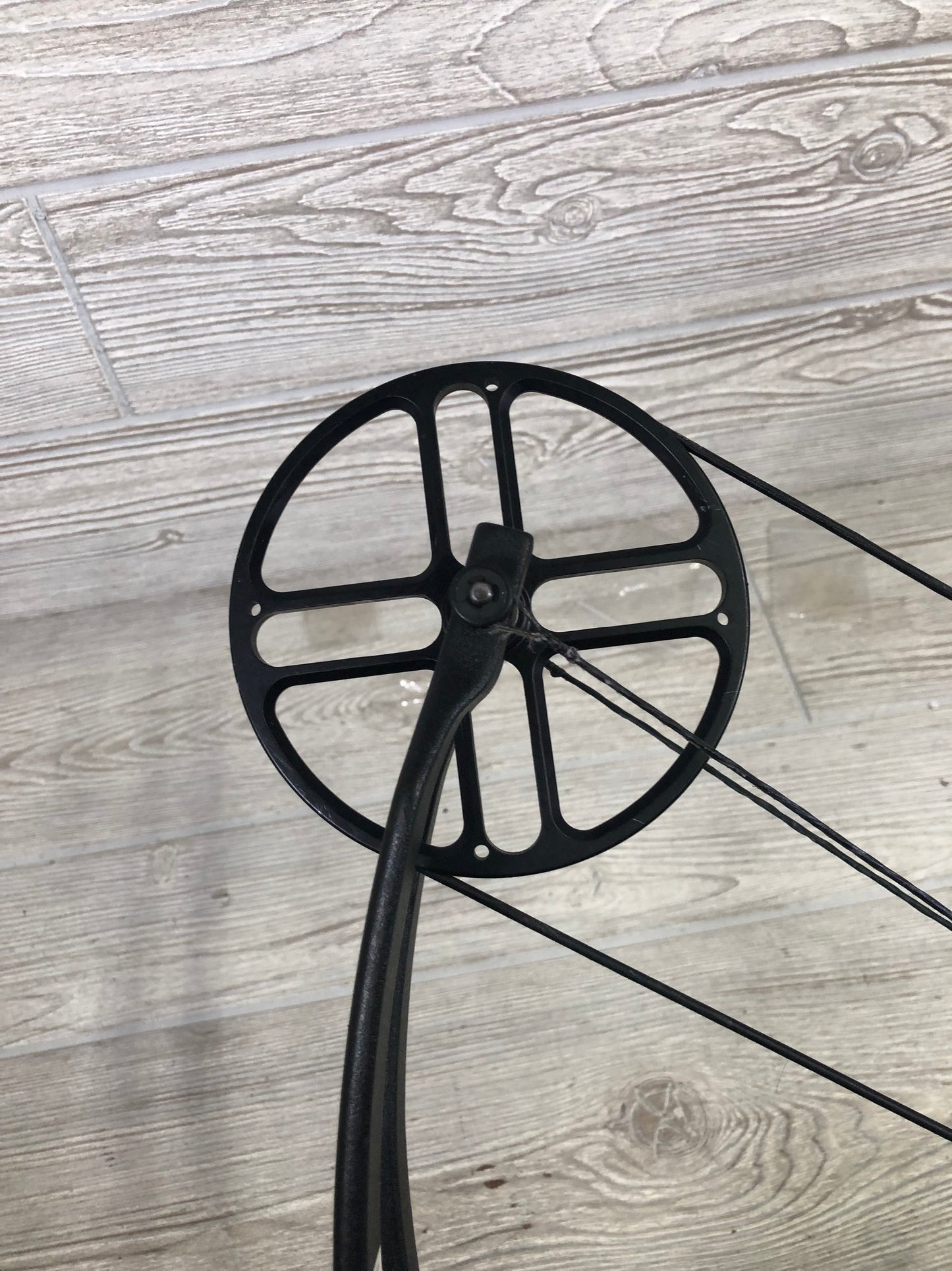 Bear Wild Right Hand Bow 24-31" 60-70lbs