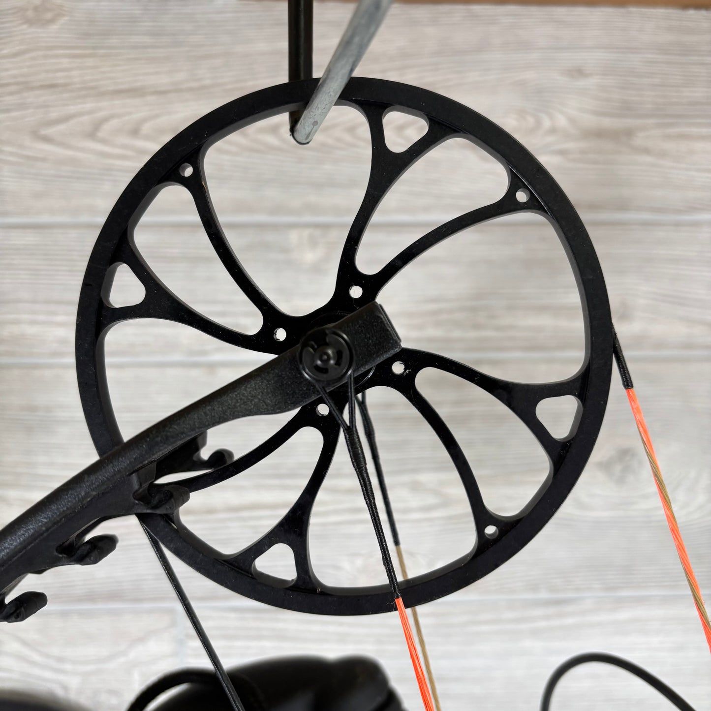 Bear Species LD Right Handed Bow Pkg