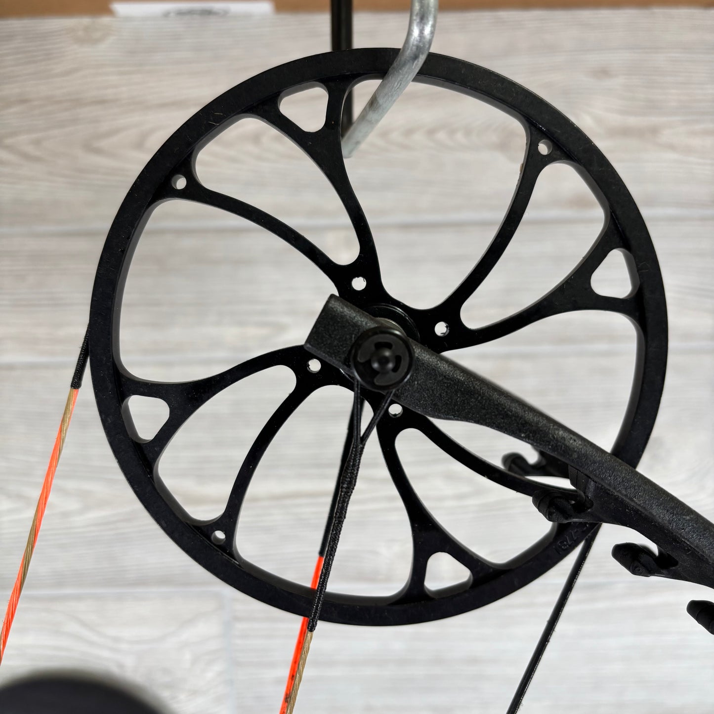 Bear Species LD Right Handed Bow Pkg