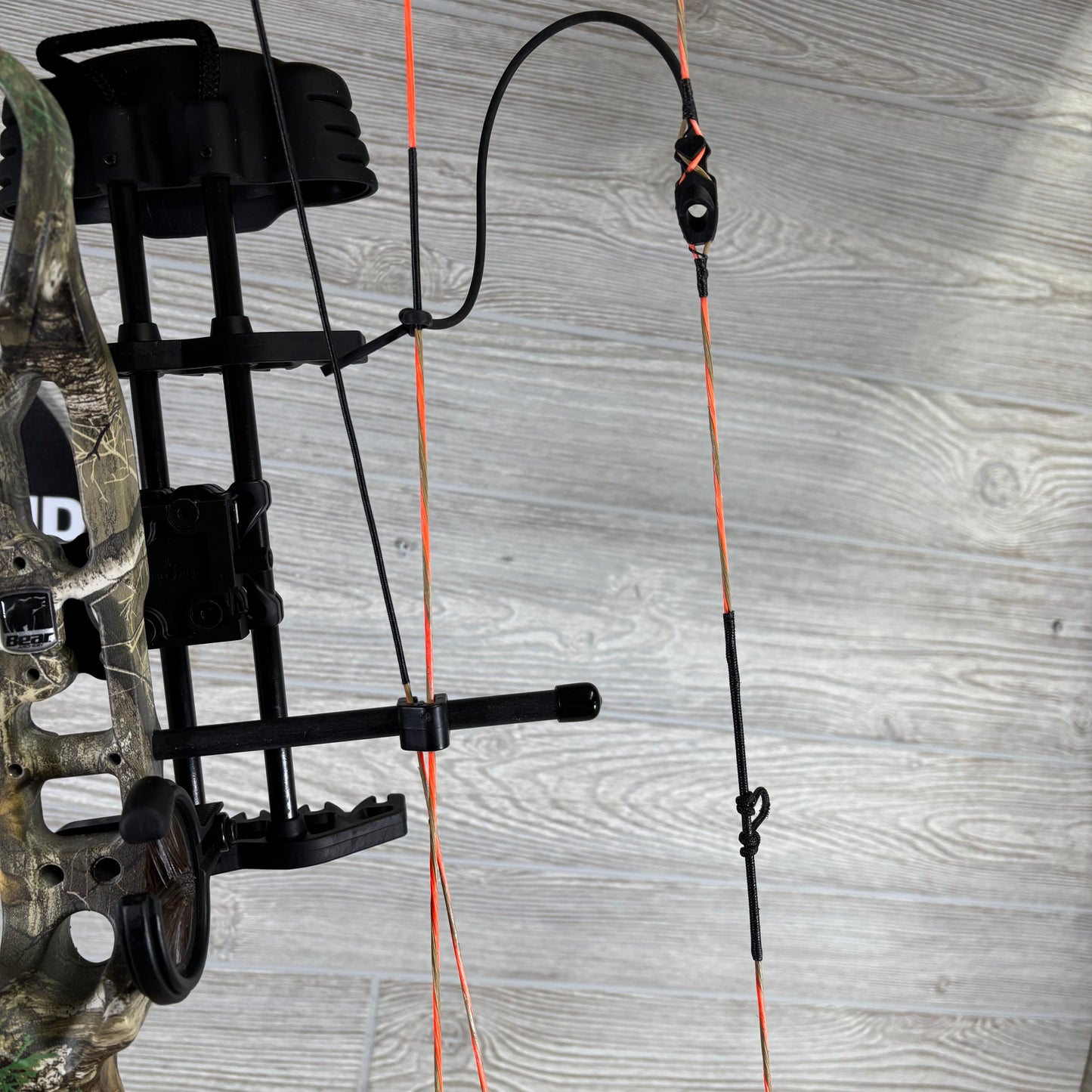 Bear Species LD Right Handed Bow Pkg