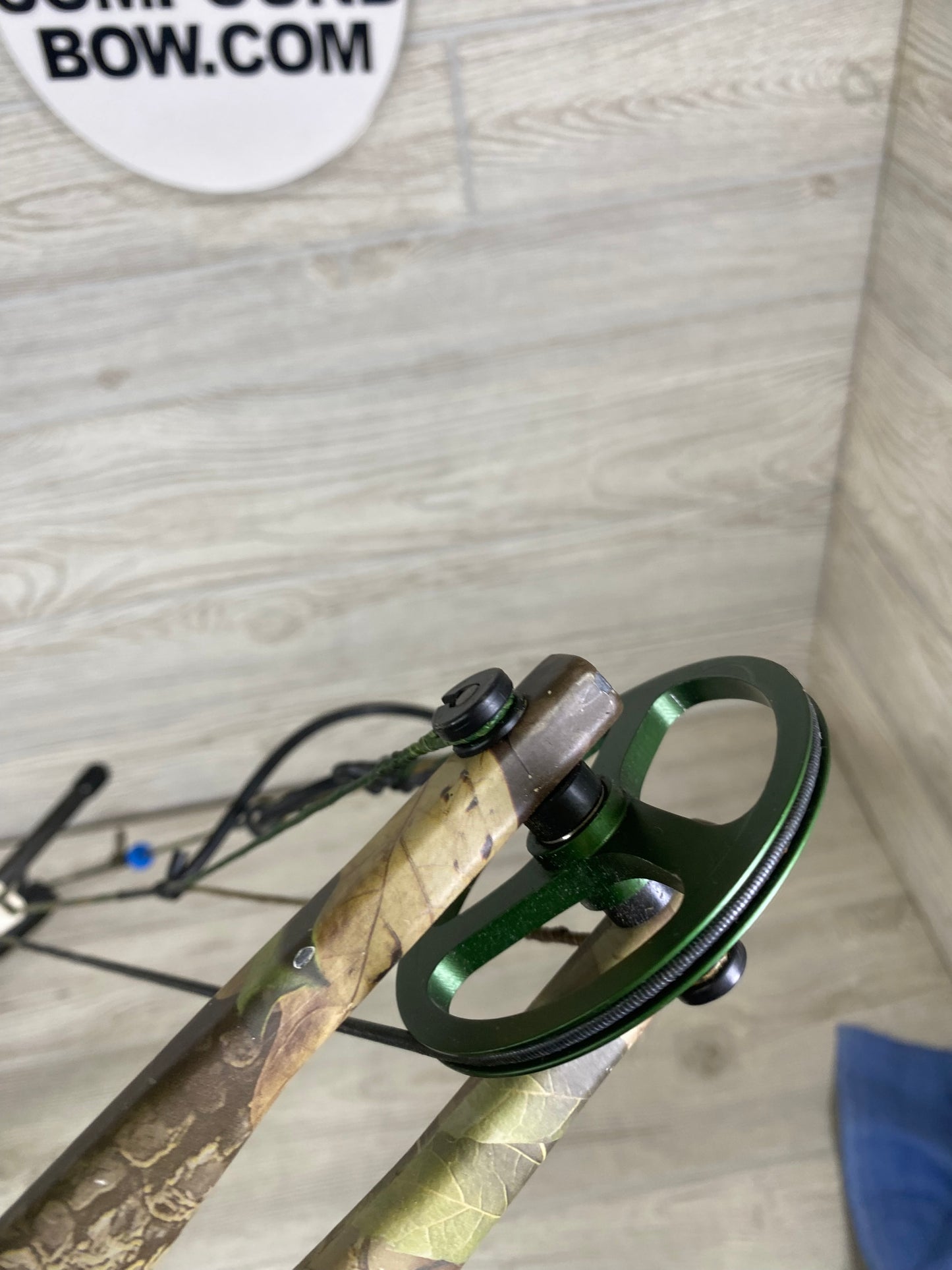 Bear Element RH 70# 29"