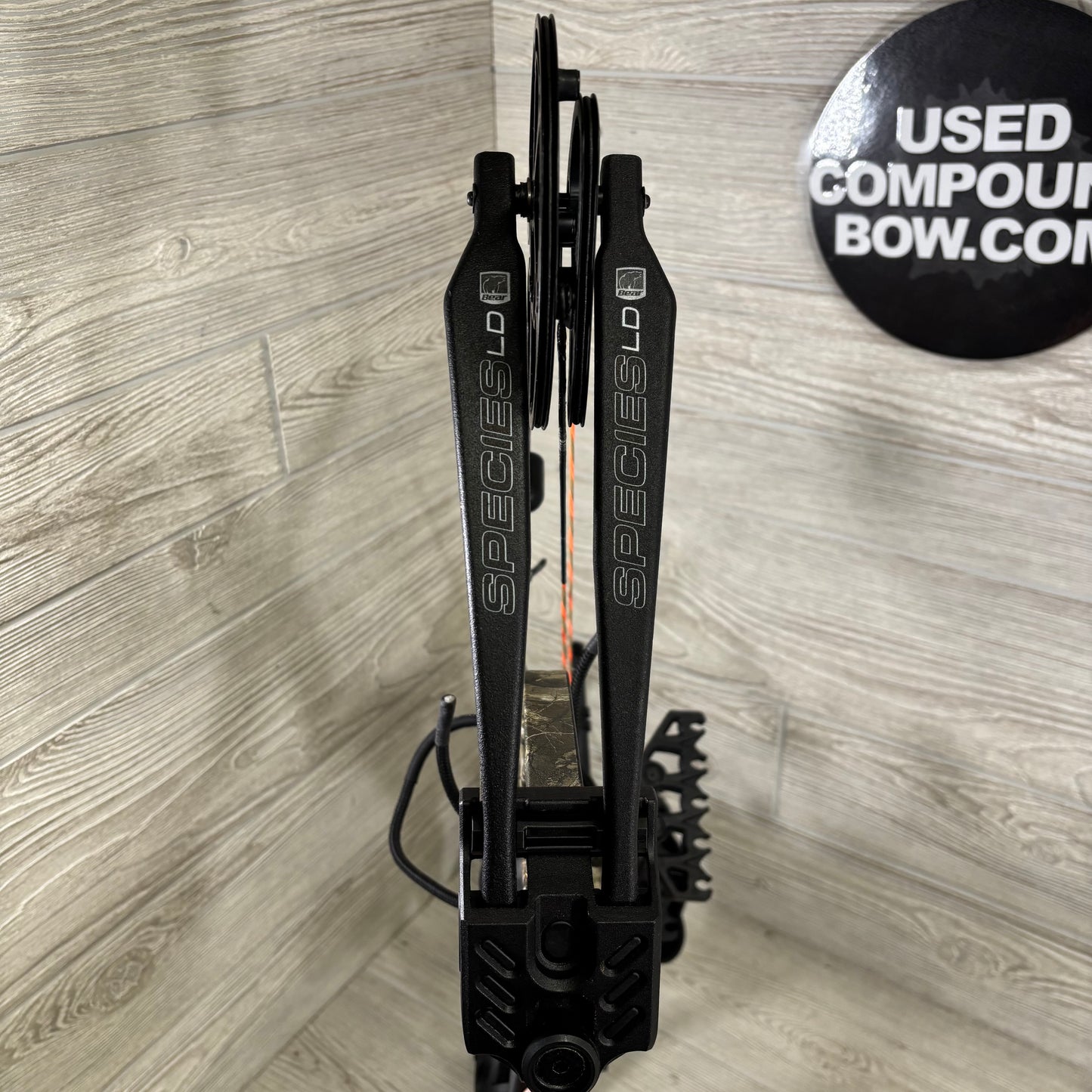 Bear Species LD Right Handed Bow Pkg