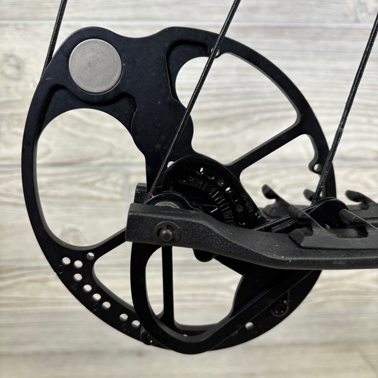 Bear Species LD Right Handed Bow Pkg