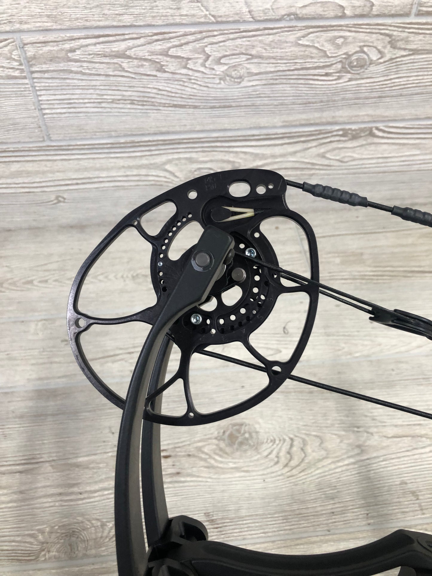 Darton Sequel 31 Left Handed 60-70lbs Black Bow
