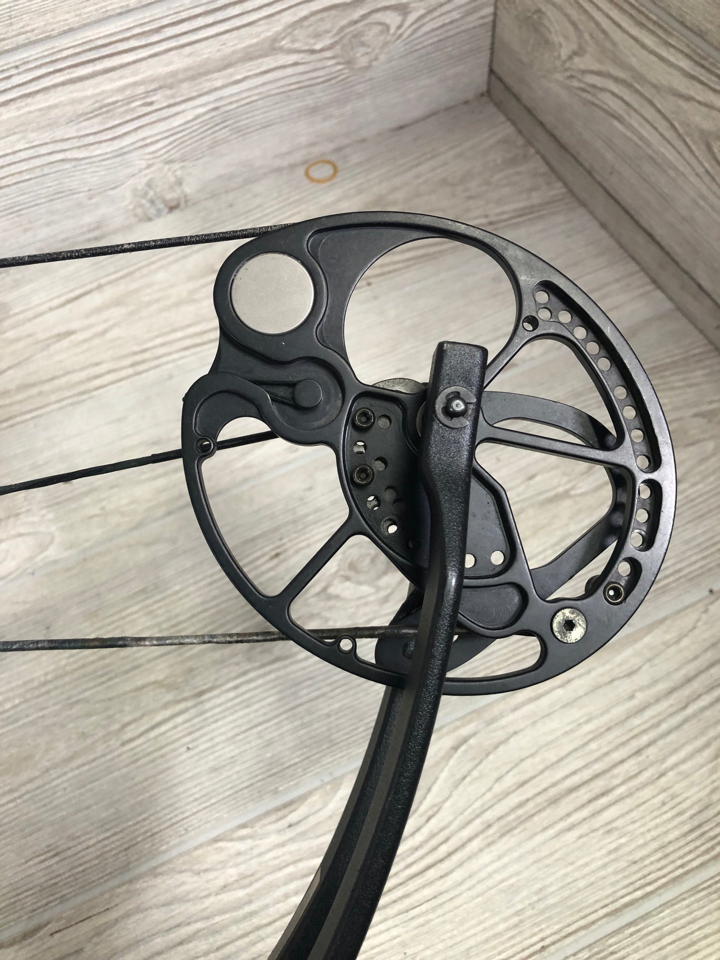 Bear Wild Right Hand Bow 24-31" 60-70lbs