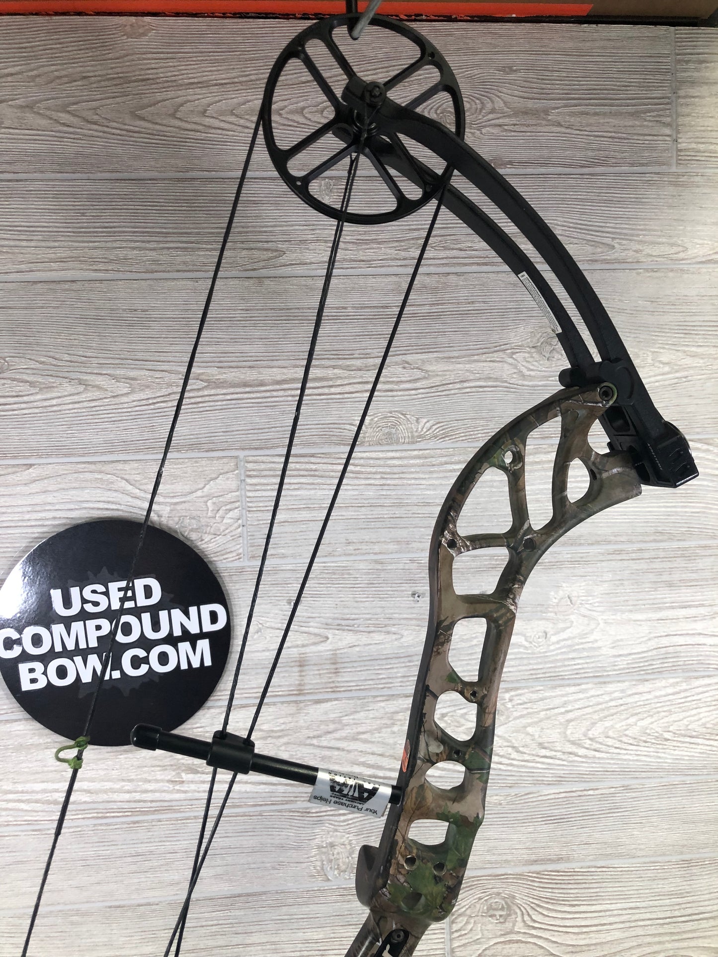 Bear Wild Right Hand Bow 24-31" 60-70lbs