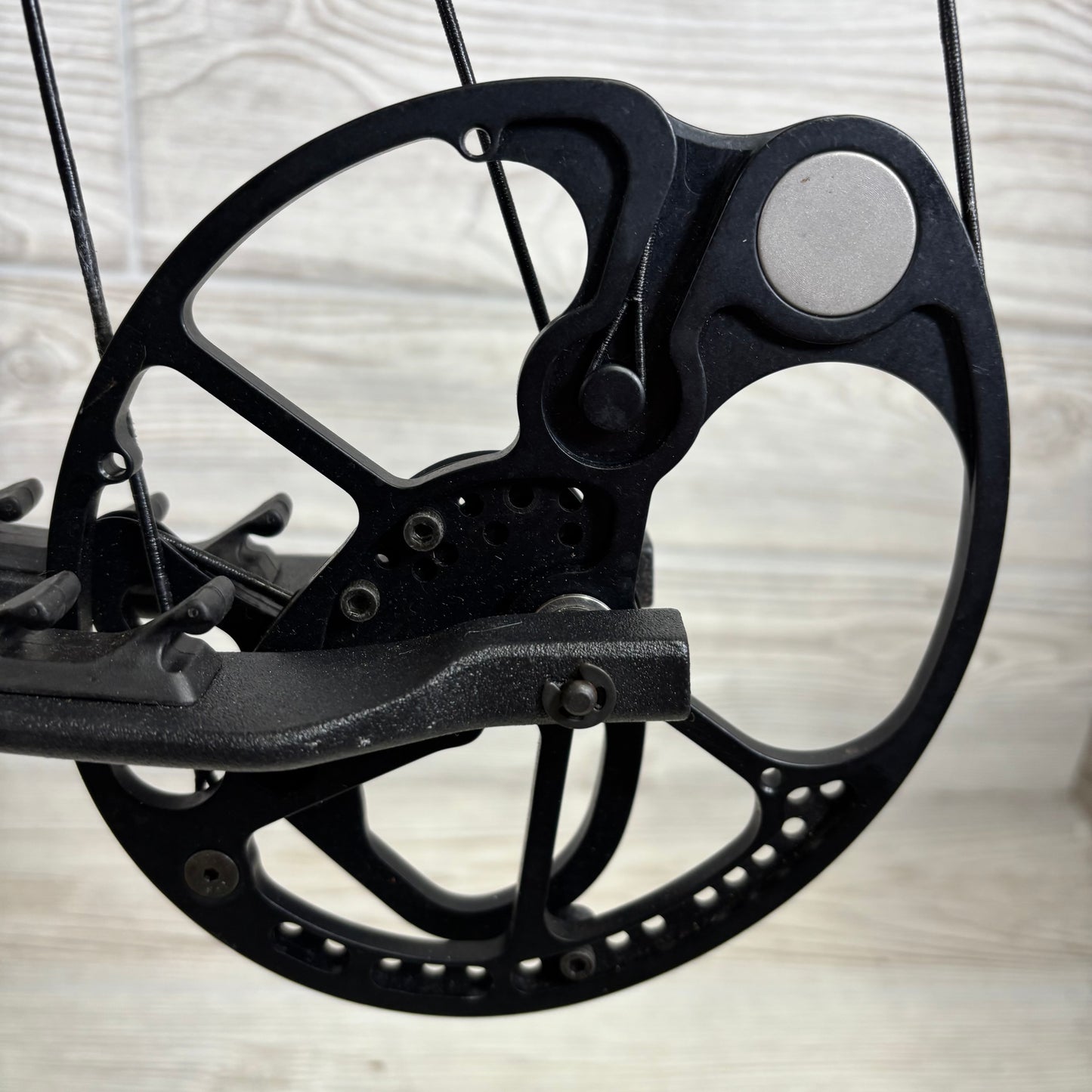 Bear Species LD Right Handed Bow Pkg