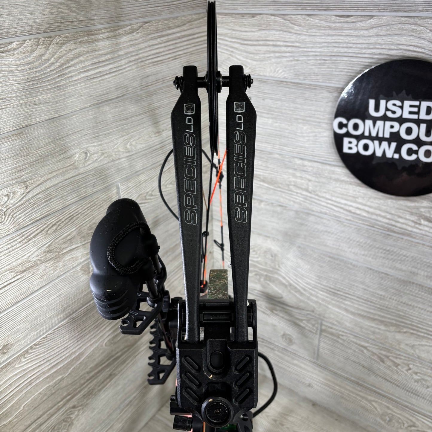 Bear Species LD Right Handed Bow Pkg