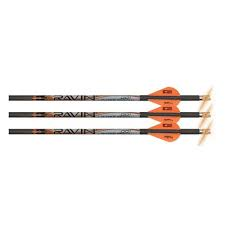 Ravin Lighted Arrows