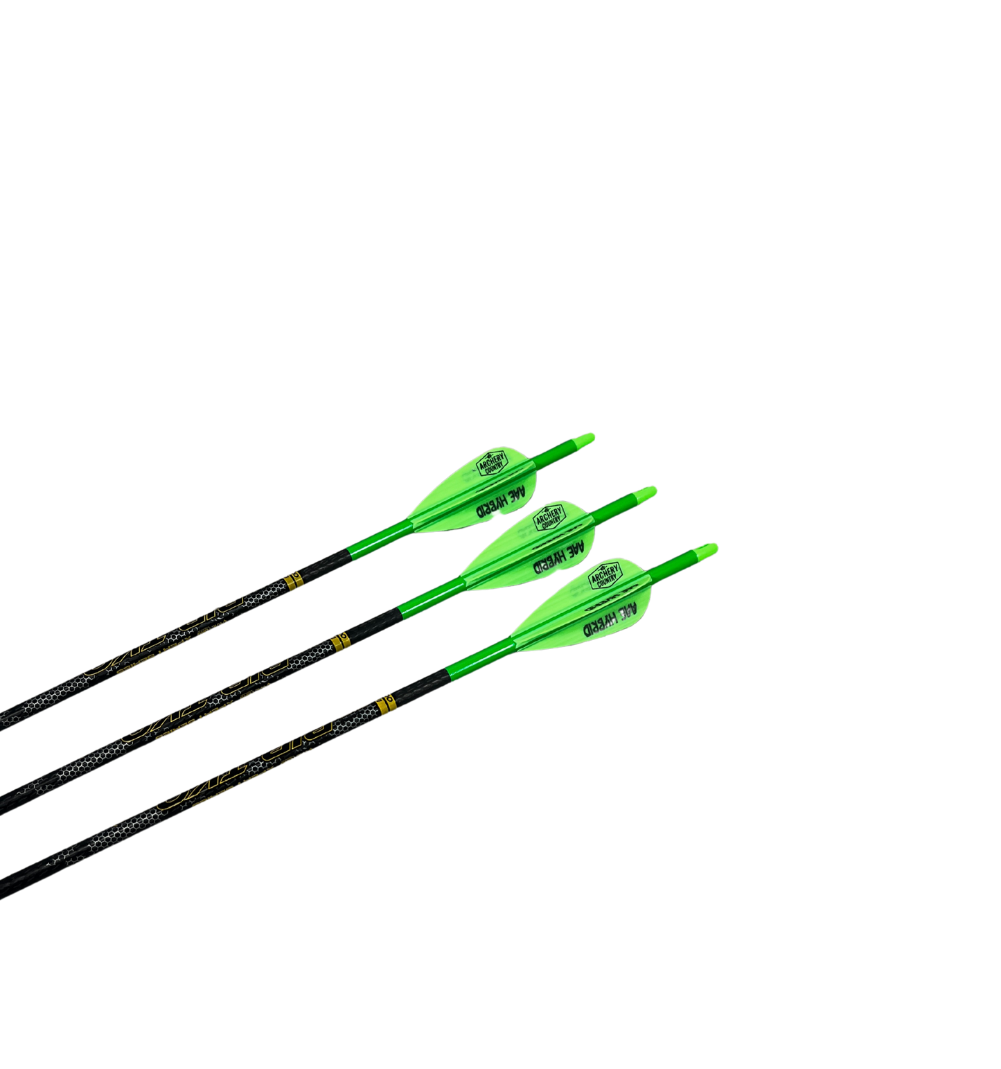 RIP TKO Elite 300 Custom Fletched Ready To Ship