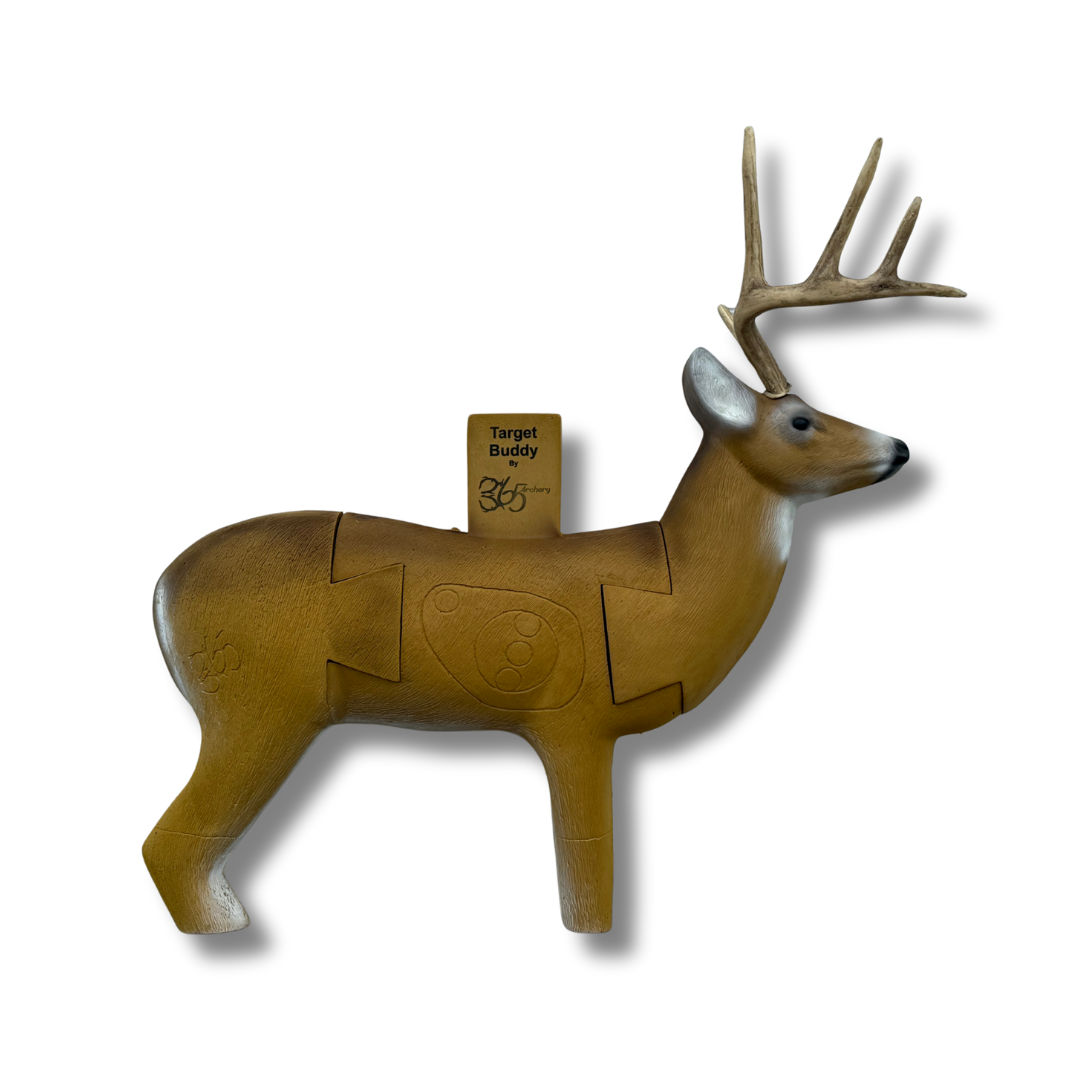 Target Buddy - Whitetail Deer