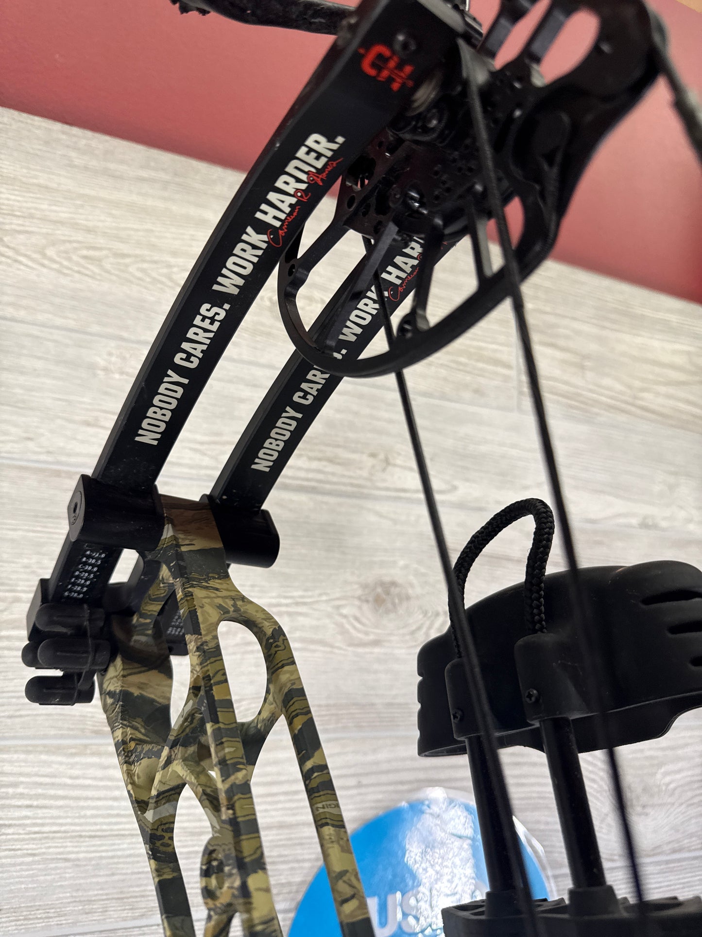 Used Hoyt Alpha X 33 Cameron Hanes Package 80# right hand