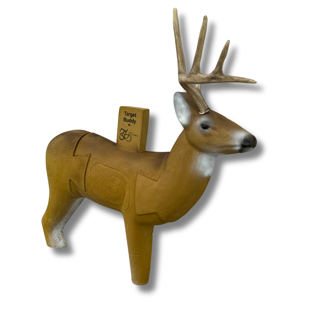 Target Buddy - Whitetail Deer