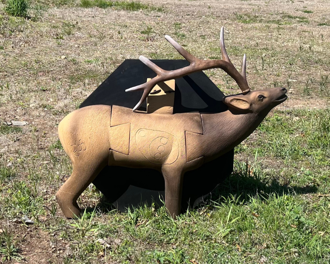 Target Buddy - Elk