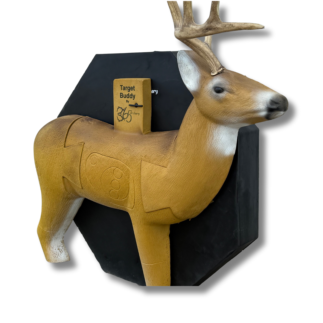 Target Buddy - Whitetail Deer