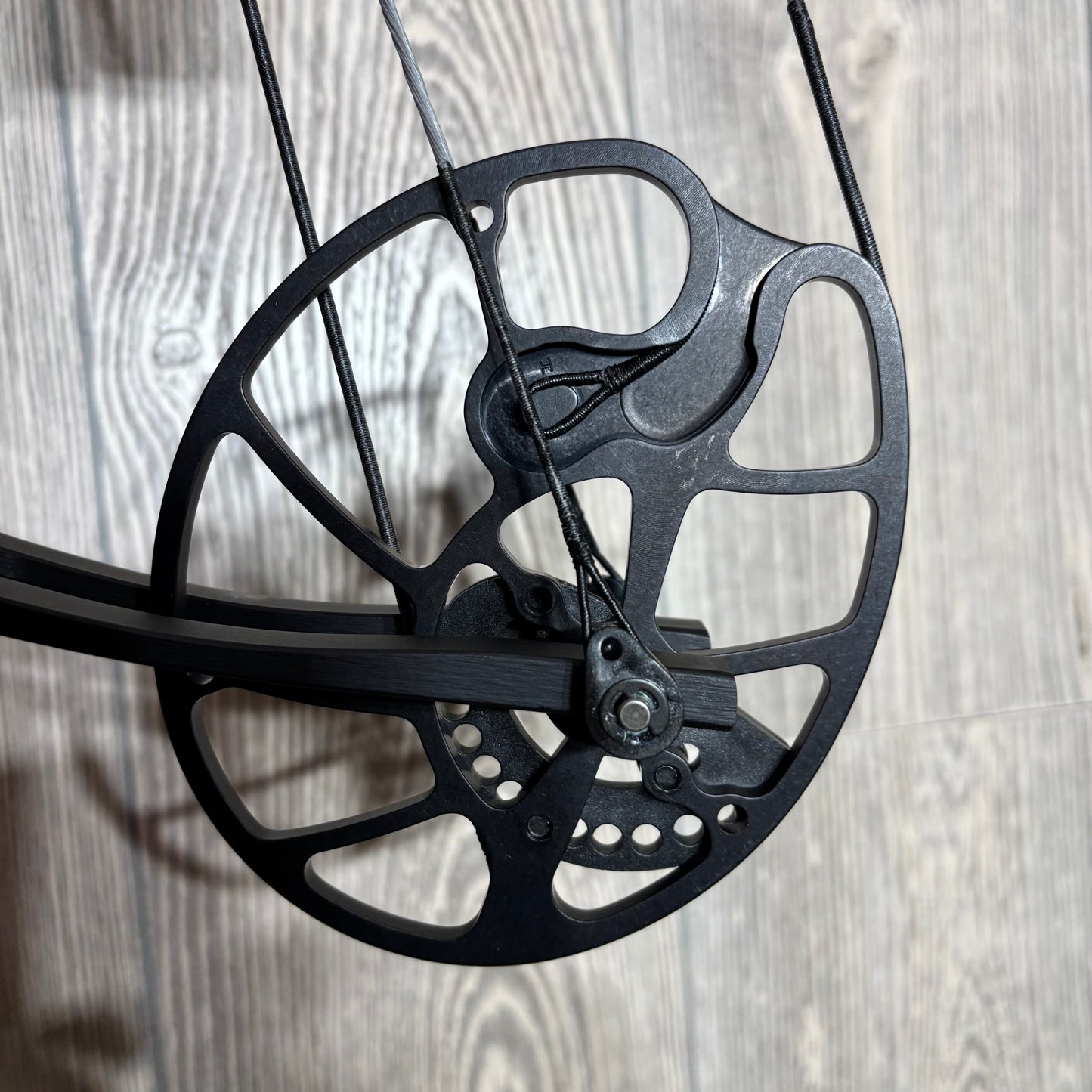 Hoyt Kobalt RH Black Bow 45#