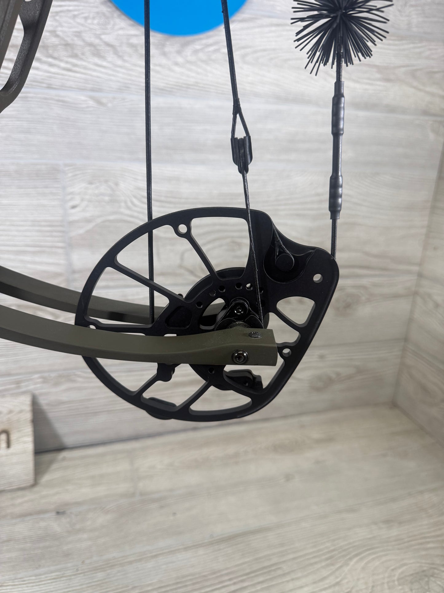 Used Hoyt Alpha AX-3 29 RH 50-60# Wilderness