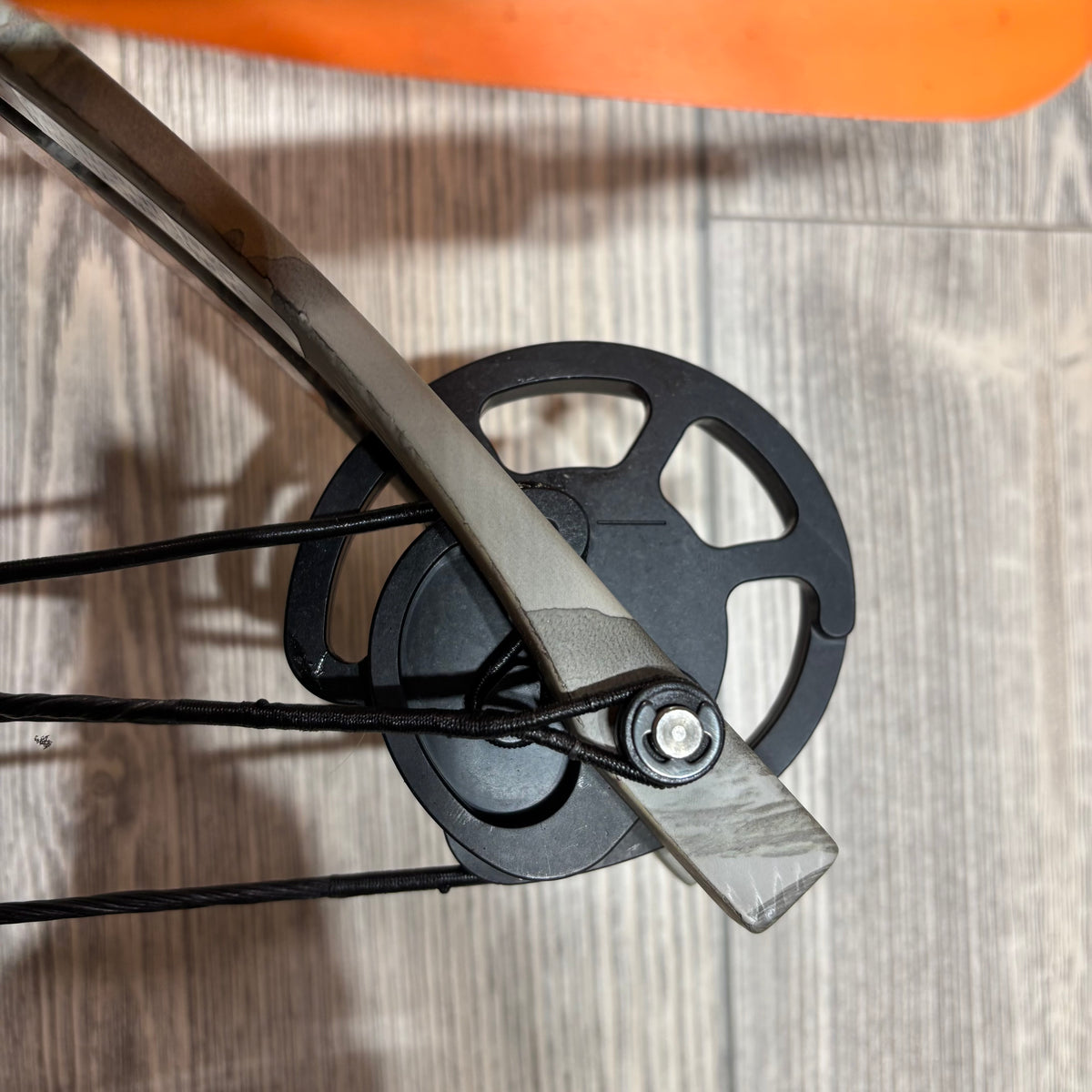 Used Bear Saga 405 Crossbow Package