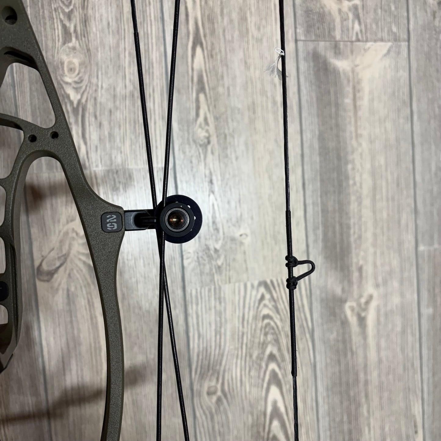 Used Hoyt Alpha AX-2 29 RH Wilderness 60lbs