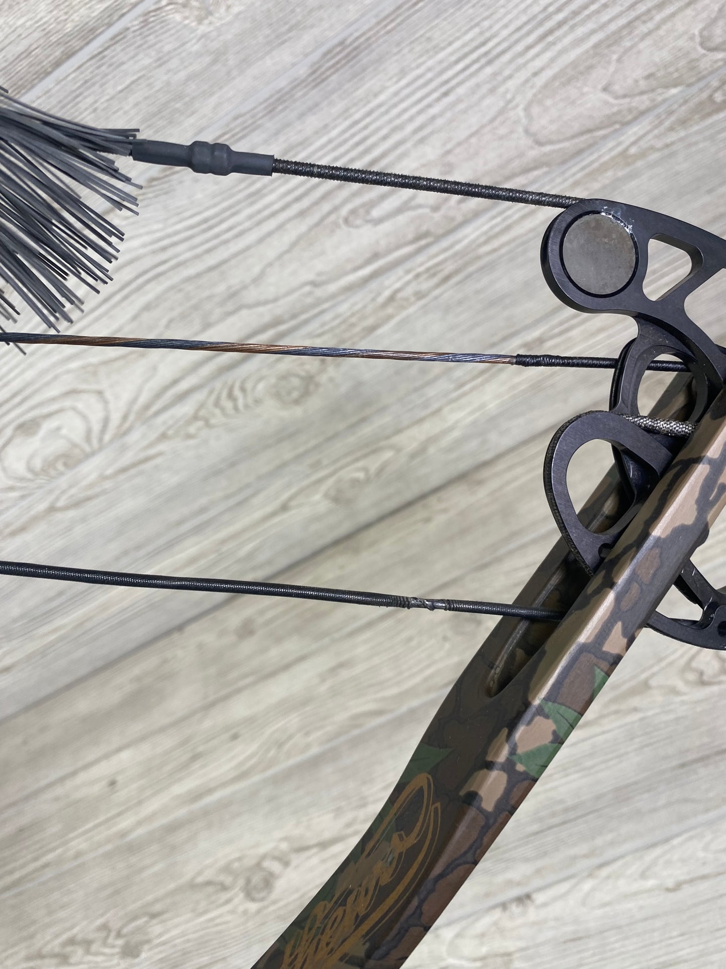 Used Mathews Conquest Light 31" 70lb Right Handed Bow Package