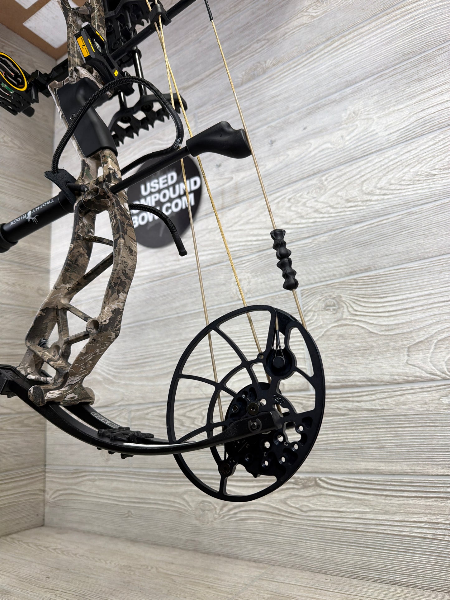 Bear Whitetail Legend XR 70# Right Hand Package