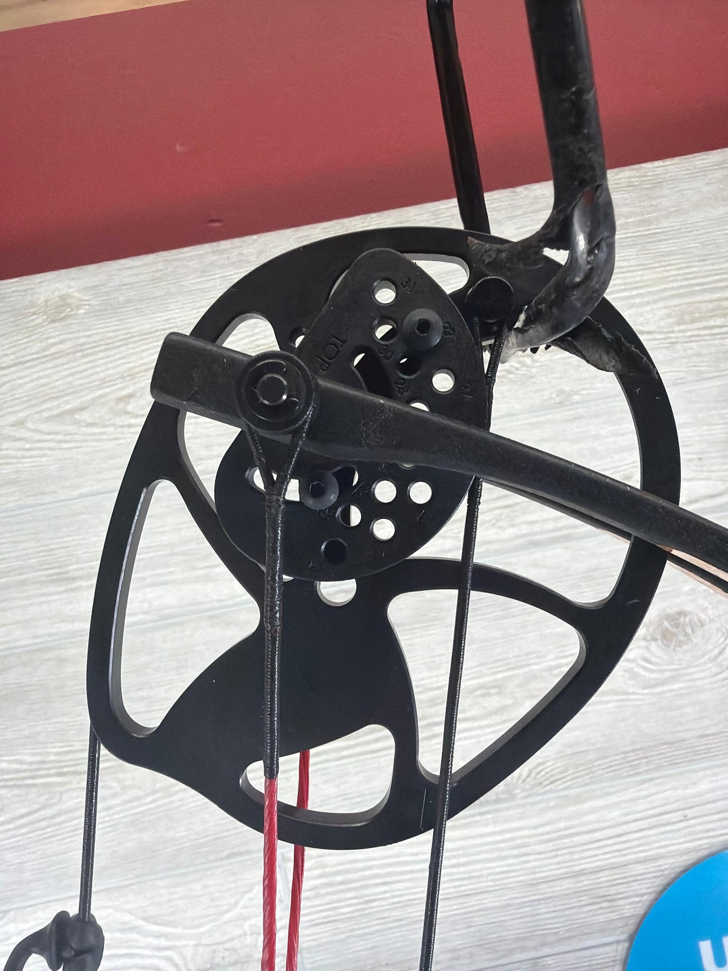 Used Blackout Intrigue XST 29" 70lb Bow/ Garmin A1i Pro