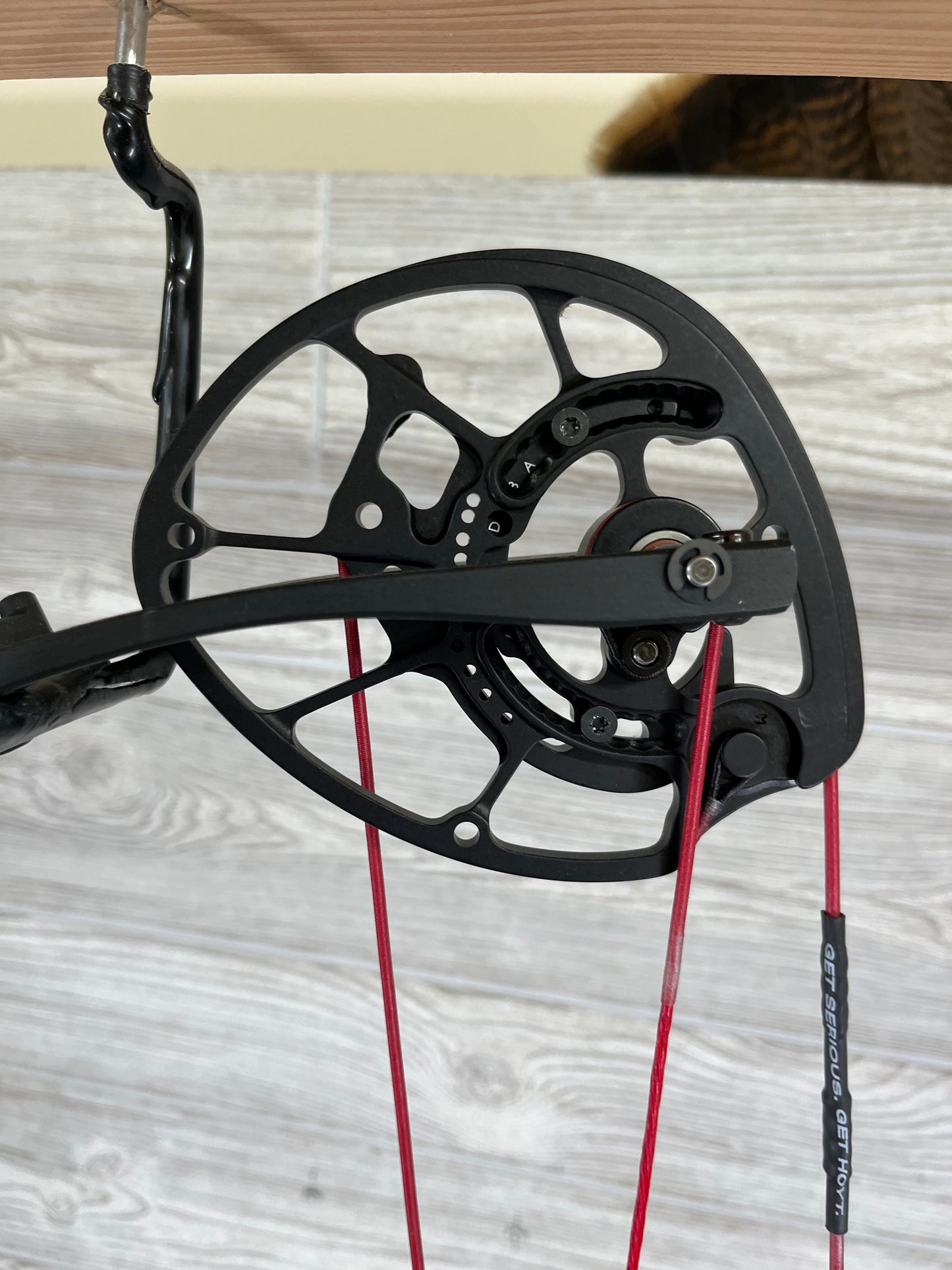 Hoyt Z1S Black 60-70 Right Handed
