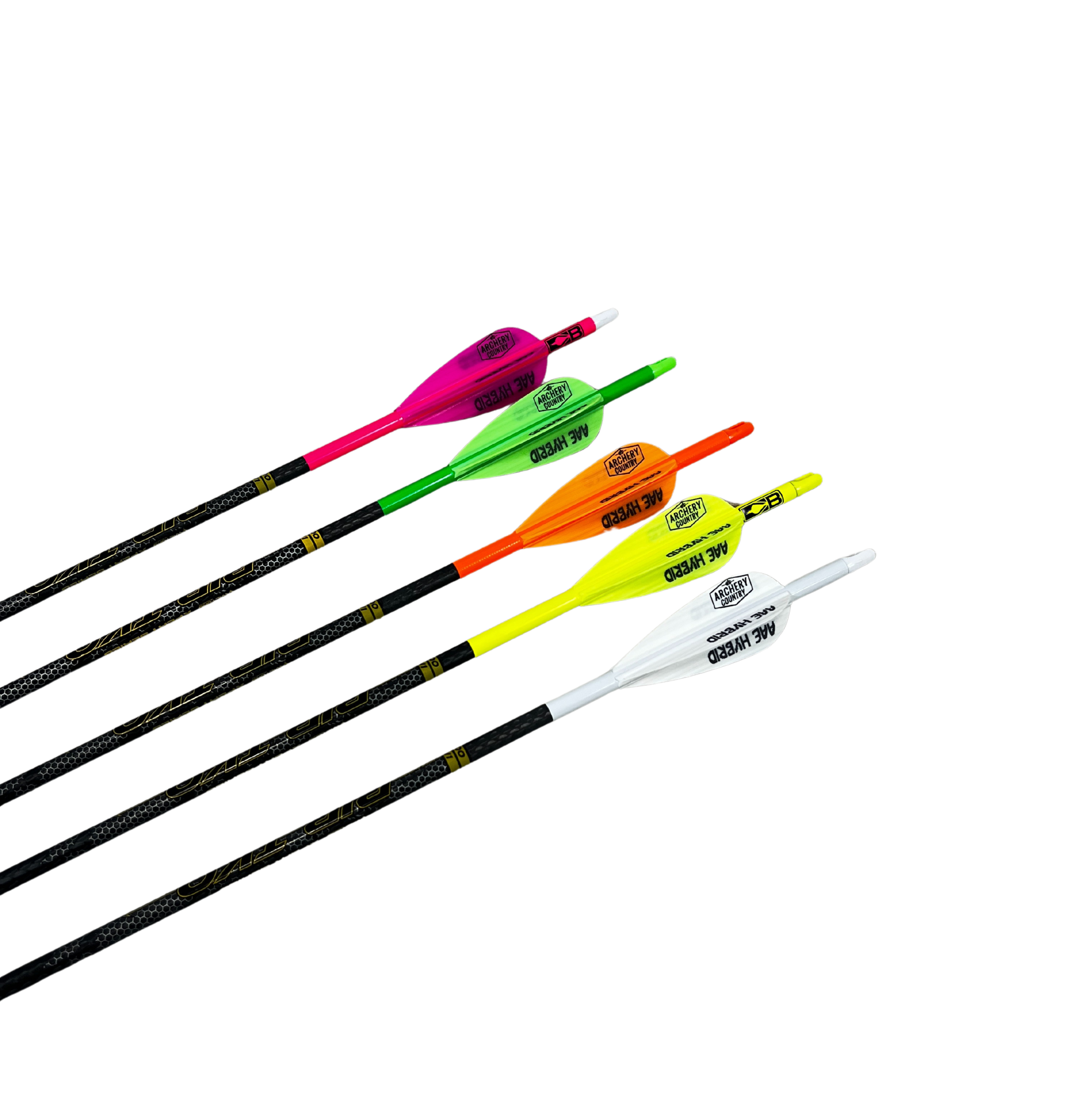 RIP TKO Elite 300 Custom Fletched Ready To Ship – UsedCompoundBow.com