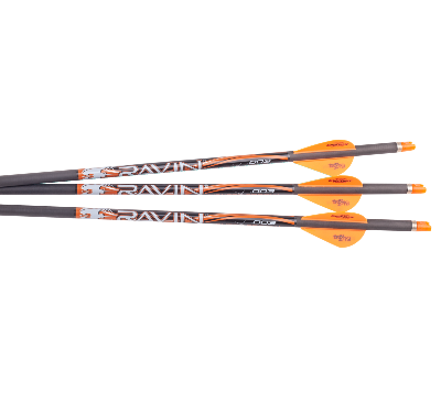 Ravin Lighted Arrows