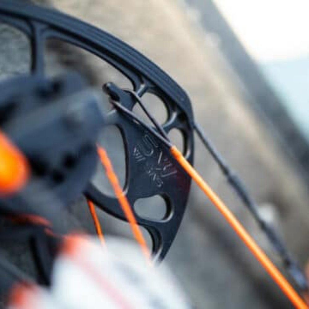 Mathews Stay Afield System