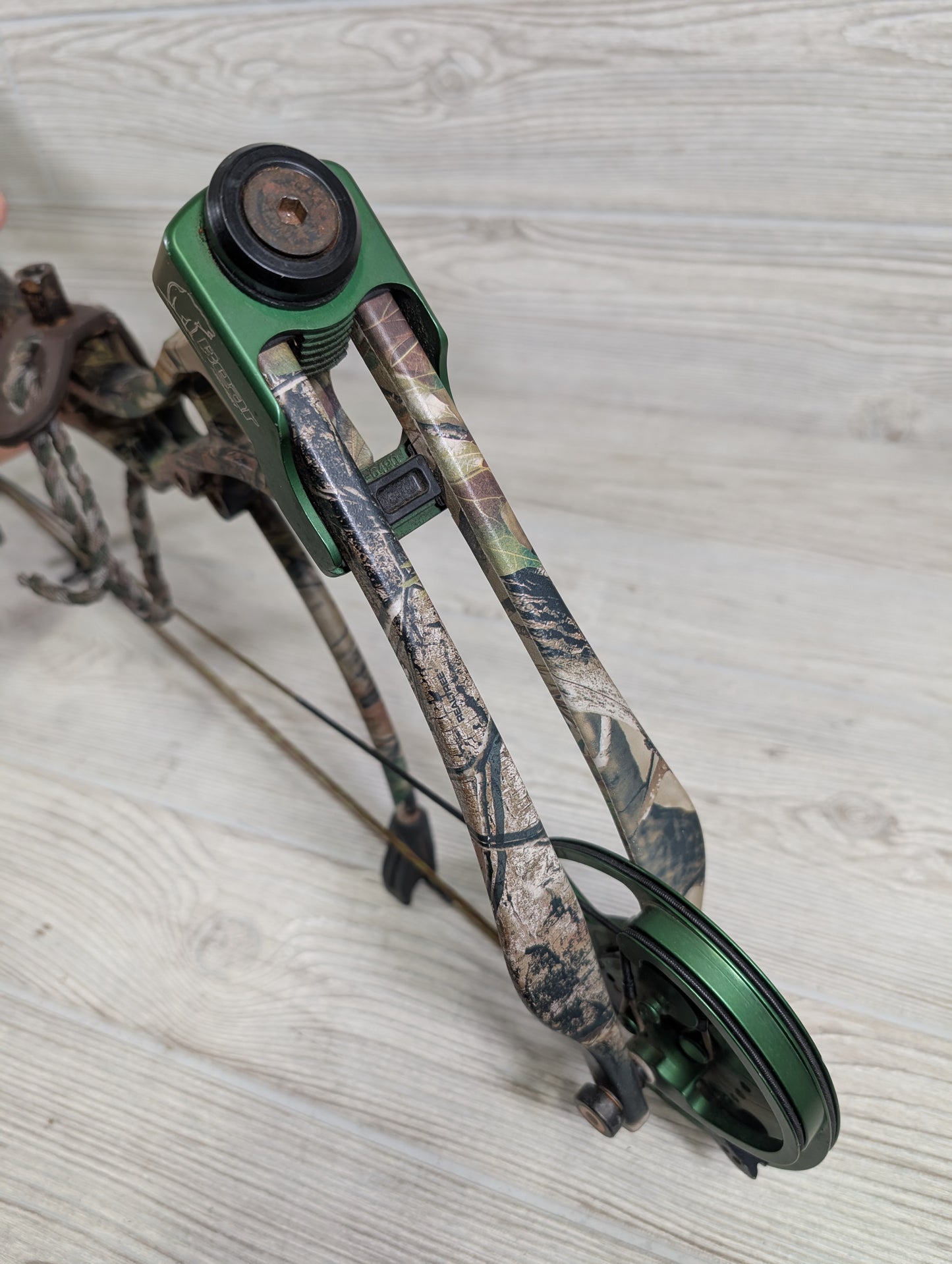 used Bear the Truth 2 RH camo package