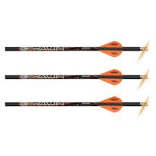 Ravin Lighted Arrows